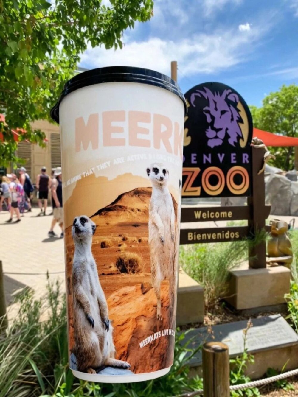 Denver Zoo Meerkat Reusable Souvenir Cup Tumbler Travel Mug Wildlife Collectible